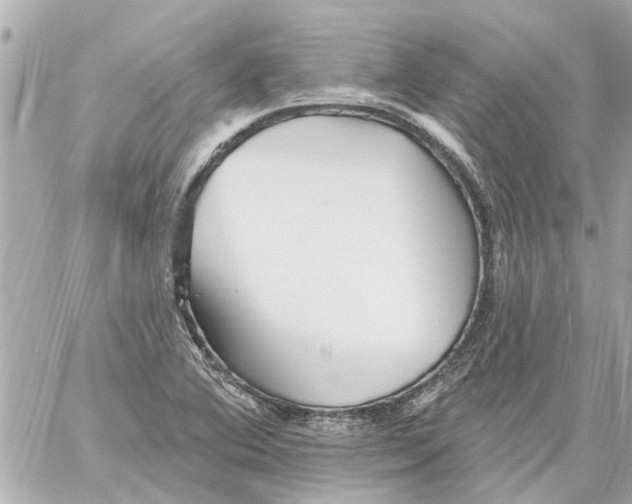 X0000059081364200511041810