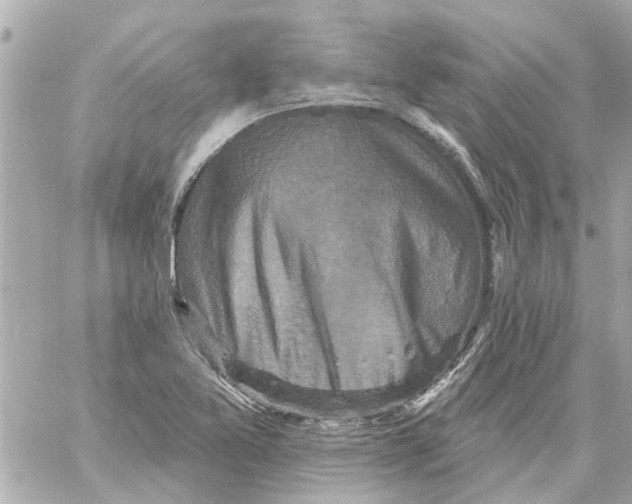 X0000059081365200511041810