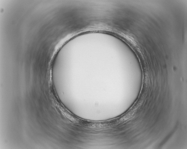 X0000059081366200511041810