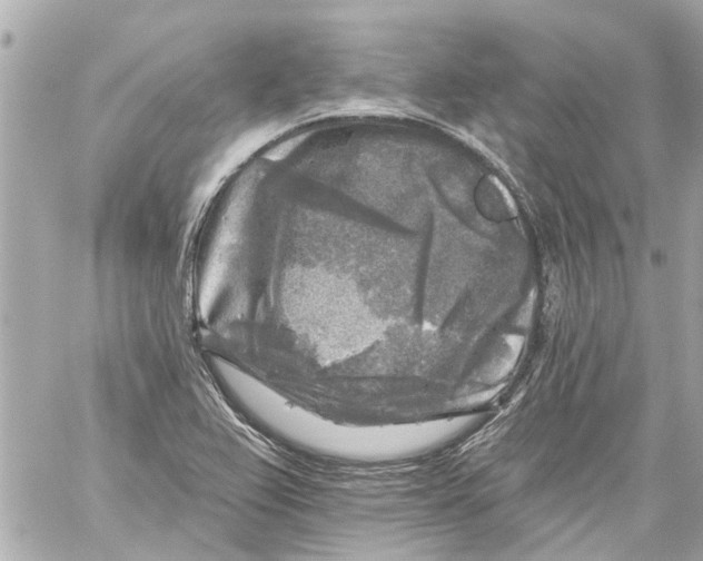 X0000059081367200511041810