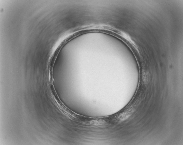 X0000059081368200511041810