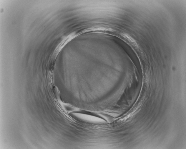 X0000059081369200511041810