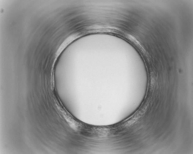 X0000059081370200511041810