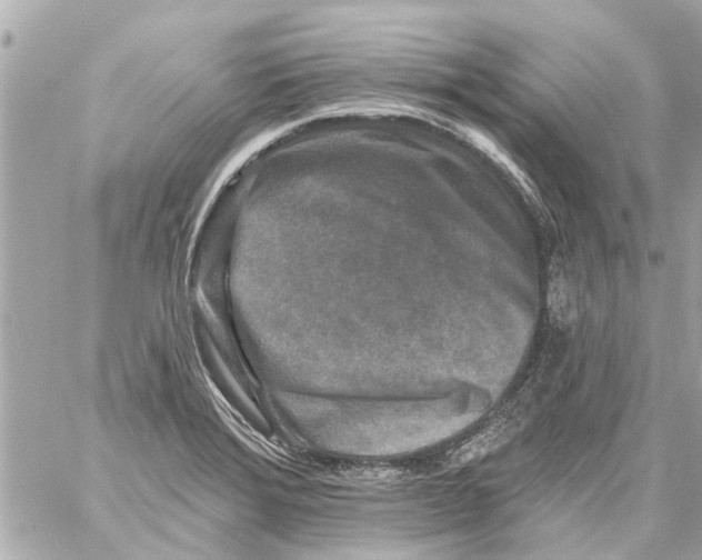 X0000059081372200511041810