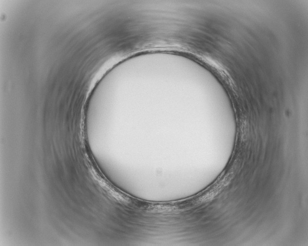 X0000059081374200511041810