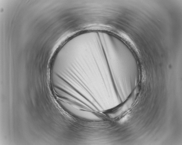 X0000059081376200511041810