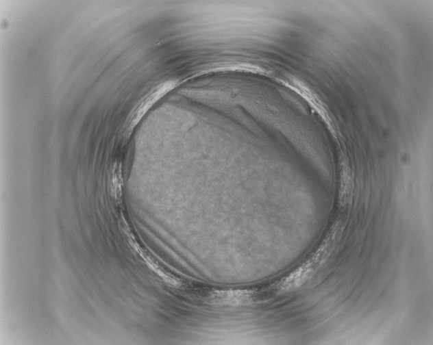 X0000059081377200511041810