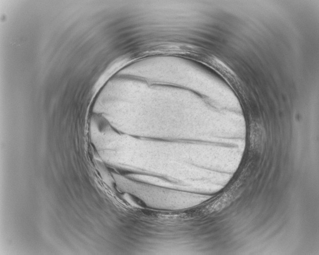 X0000059081378200511041810