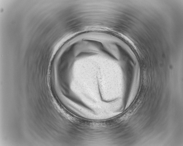 X0000059081379200511041810