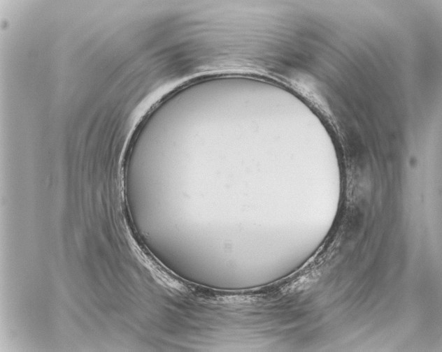 X0000059081380200511041810