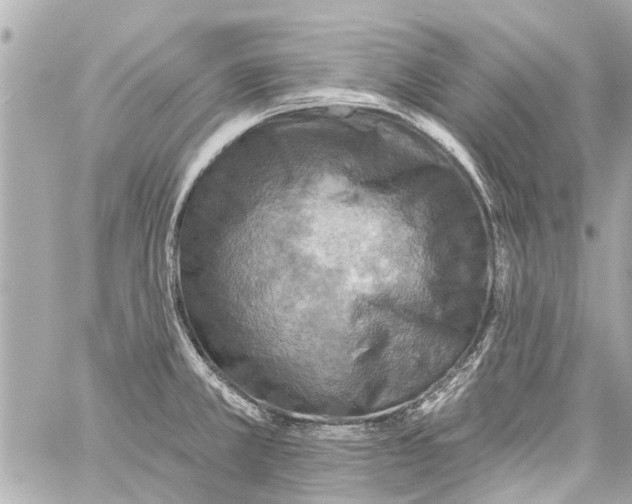 X0000059081381200511041810