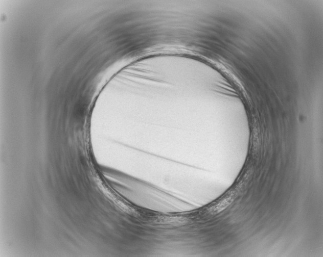 X0000059081382200511041810