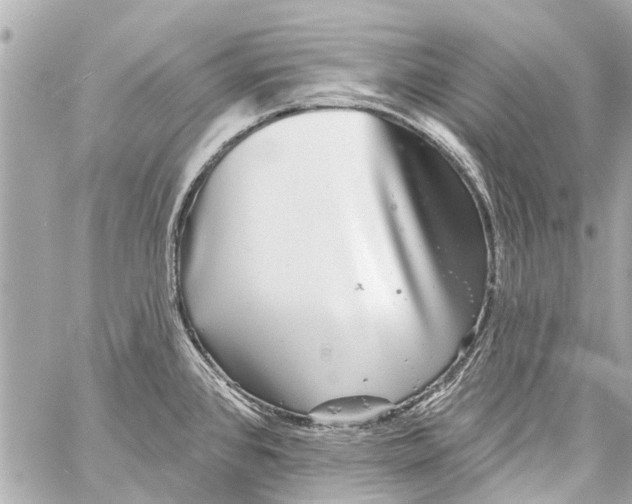 X0000059081384200511041810