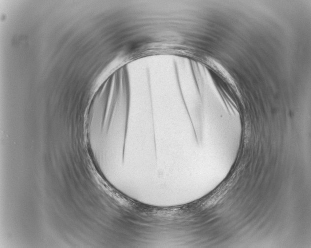 X0000059081386200511041810