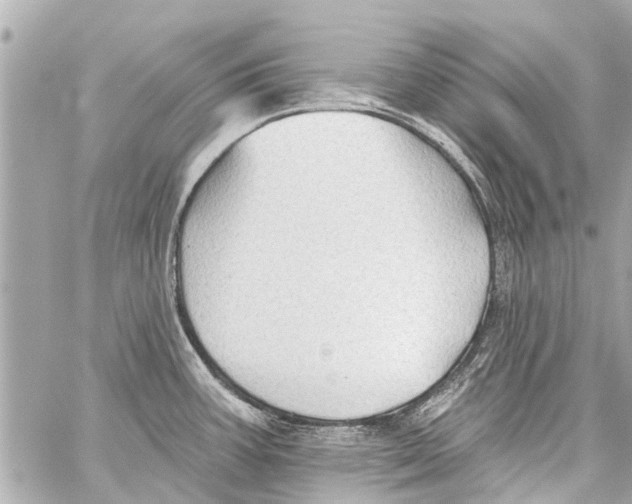 X0000059081387200511041810