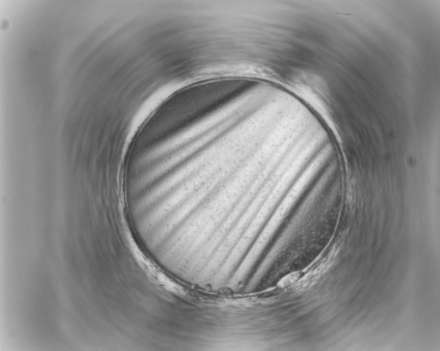 X0000059081389200511041810