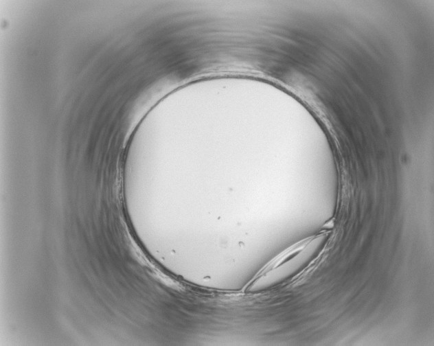 X0000059081390200511041810