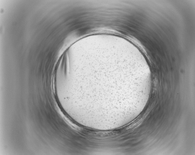 X0000059081391200511041810