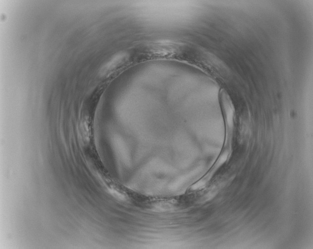 X0000059081394200511041809