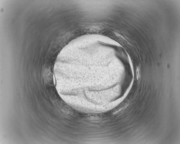 X0000059081395200511041809