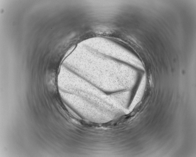 X0000059081396200511041809