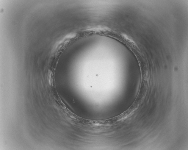 X0000059081398200511041809