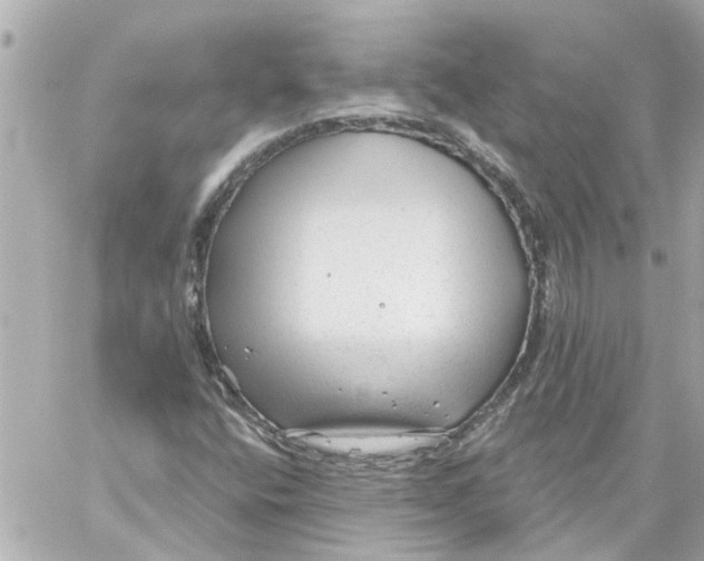 X0000059081400200511041809