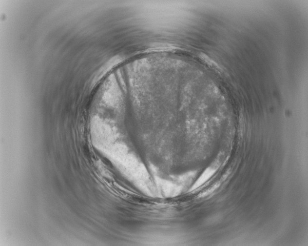 X0000059081401200511041809