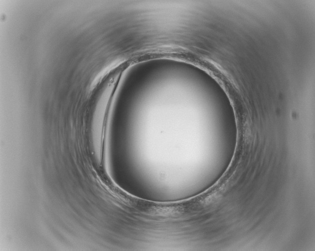 X0000059081402200511041809