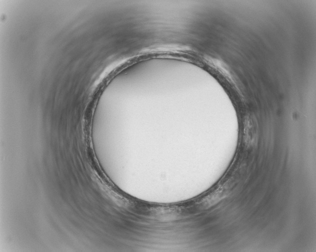 X0000059081404200511041809