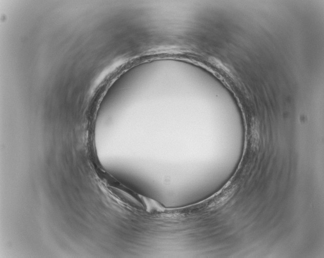 X0000059081406200511041809