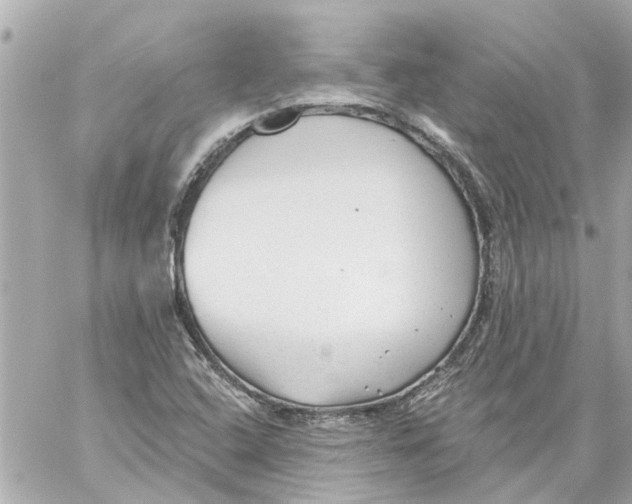 X0000059081408200511041809