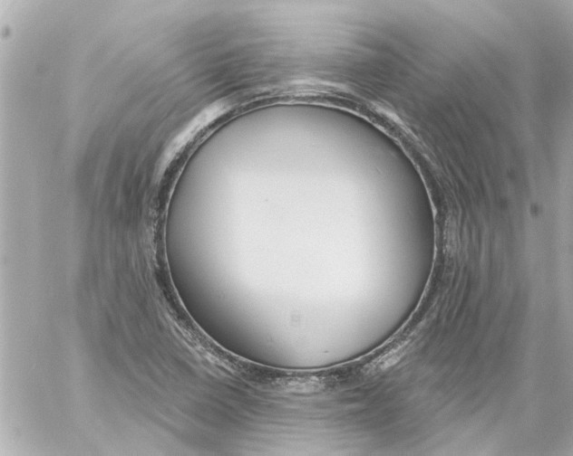 X0000059081410200511041809