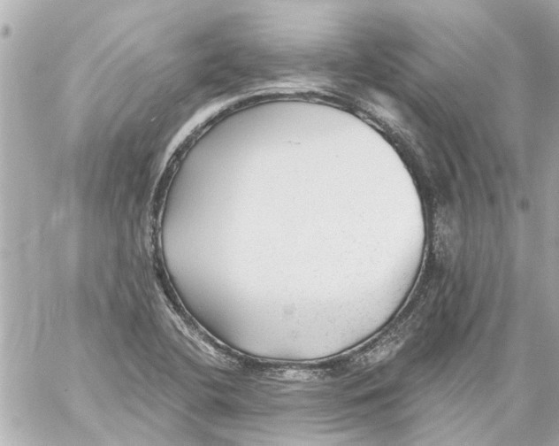 X0000059081412200511041809