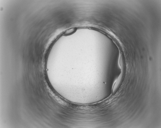 X0000059081416200511041809