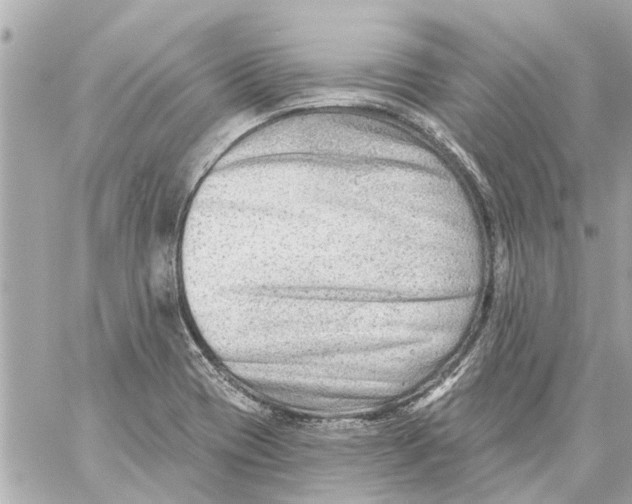 X0000059081417200511041809