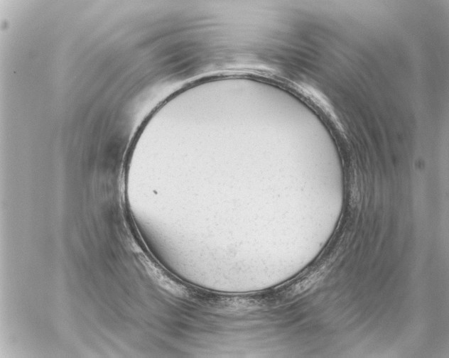 X0000059081420200511041809