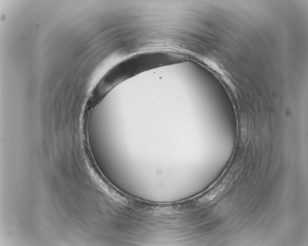 X0000059081422200511041809