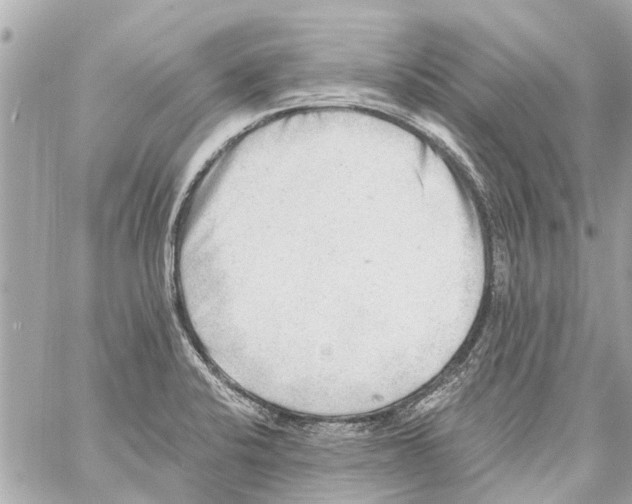 X0000059081424200511041809