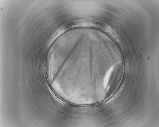 X0000059081425200511041809