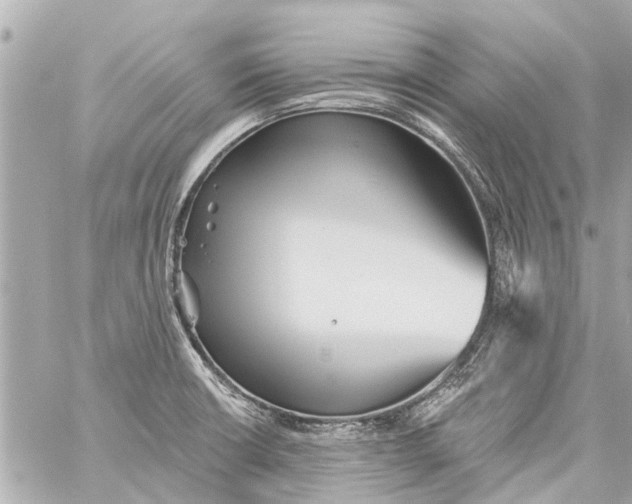 X0000059081426200511041809