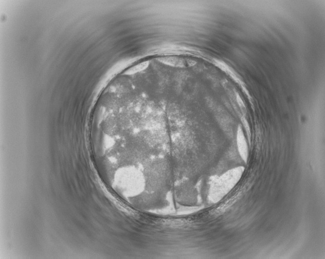 X0000059081429200511041809