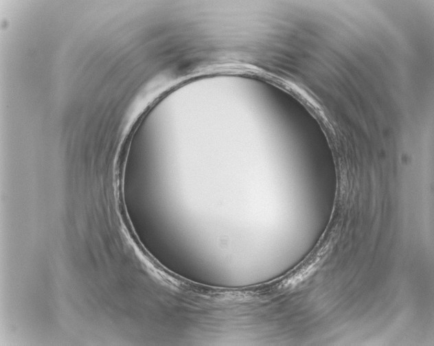 X0000059081430200511041809