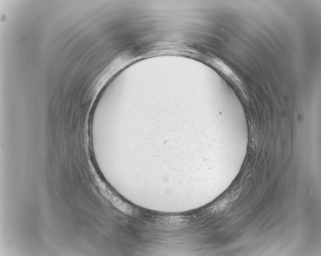 X0000059081431200511041809