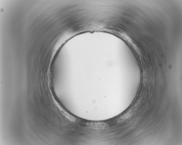 X0000059081432200511041809