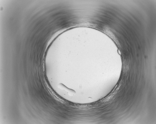 X0000059081436200511041810