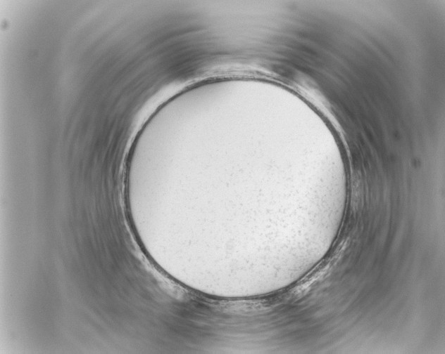 X0000059081437200511041810