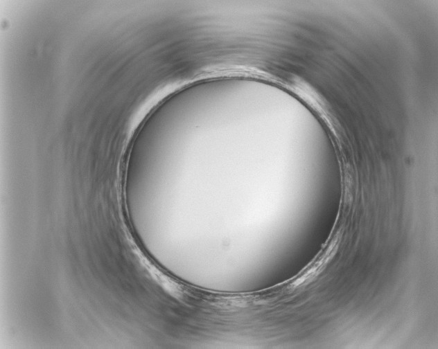 X0000059081438200511041810