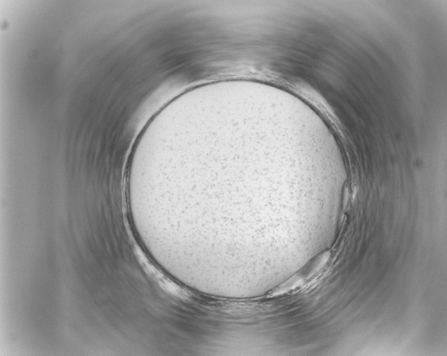 X0000059081439200511041810