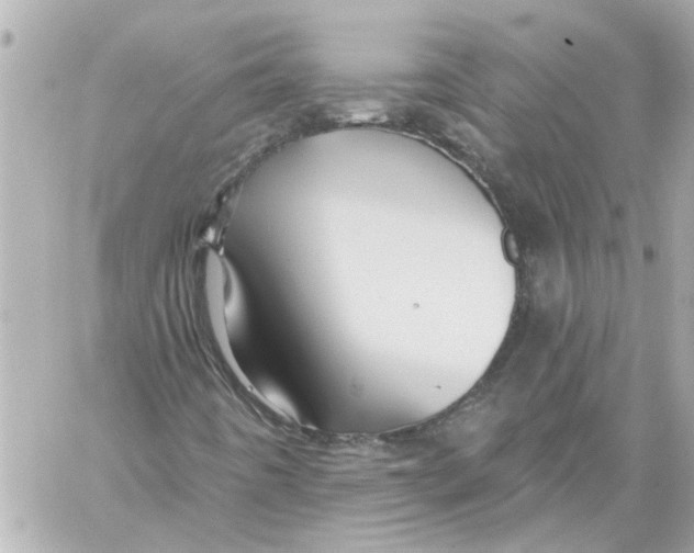 X0000059081442200511041809